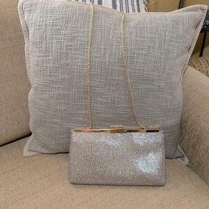 Platinum clutch purse